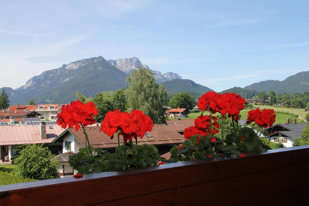 Schlafende Hexe Im Buchenwald Appartement Schönau am Königssee Buitenkant foto